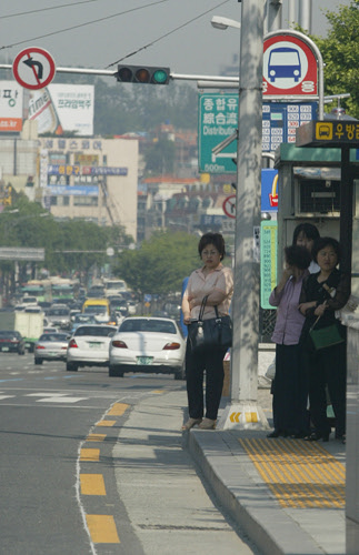 오지 않는 버스를 기다리는 대구 시민 